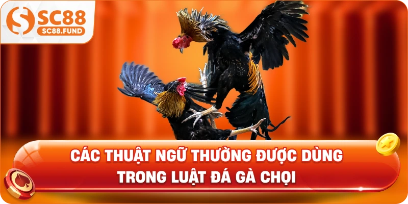Các thuật ngữ thường được dùng trong luật đá gà chọi